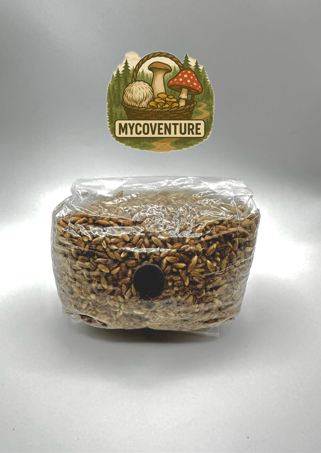 Sterile Rye Grain 500g/1kg (Bundle+Multi-Buy Available)