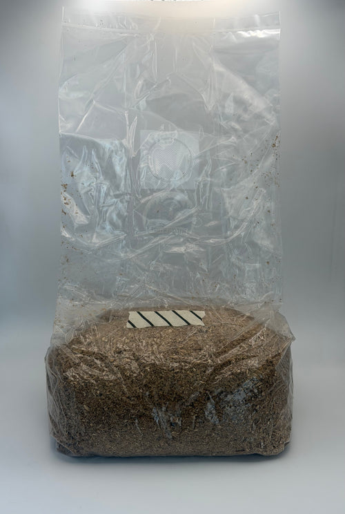 Sterile Masters Mix Hardwood Substrate 1kg/2kg (Grow kit Available)