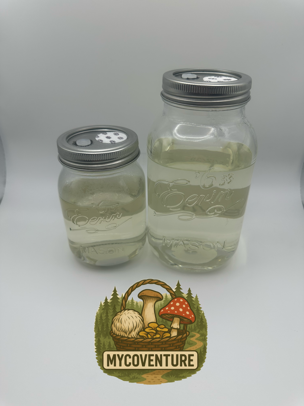 Sterile Liquid Culture Kit 350ml/750ml