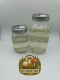 Sterile Liquid Culture Kit 350ml/750ml