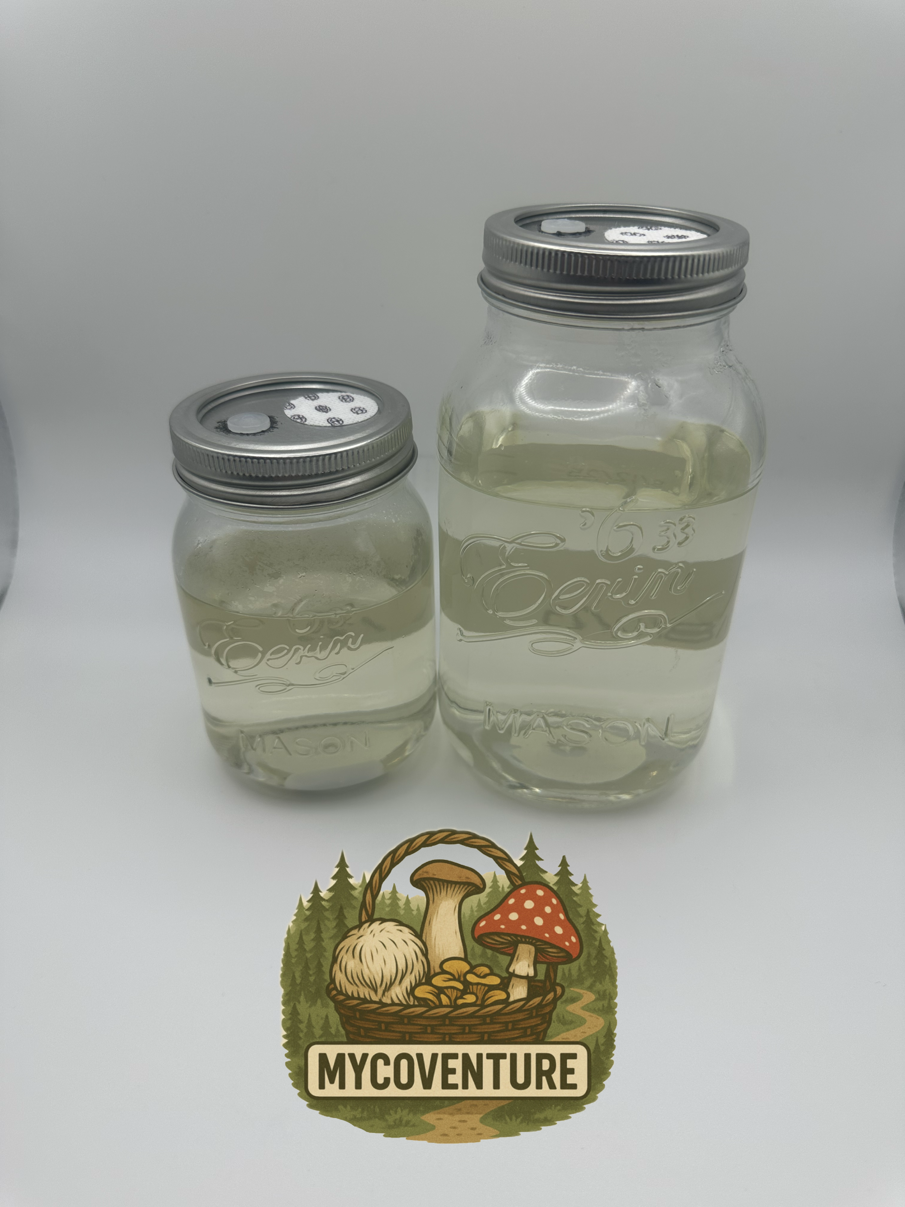 Sterile Liquid Culture Kit 350ml/750ml